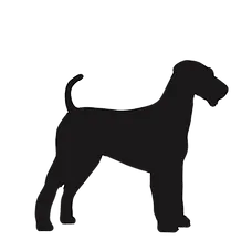 medium dogs_edited.png